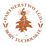 BoryTucholskie.pl