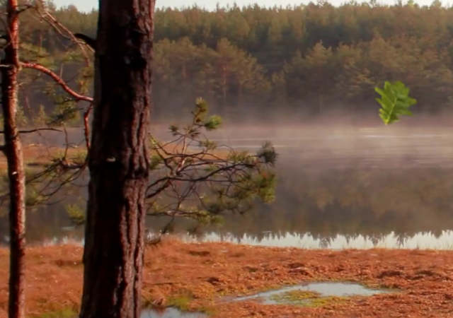 Agencja PKO BP w Tucholi